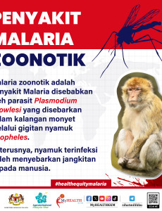 Malaria: Penyakit Malaria Zoonotik